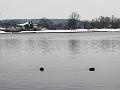 Wandeling De Paalse Plas 24-2-2013 (34)